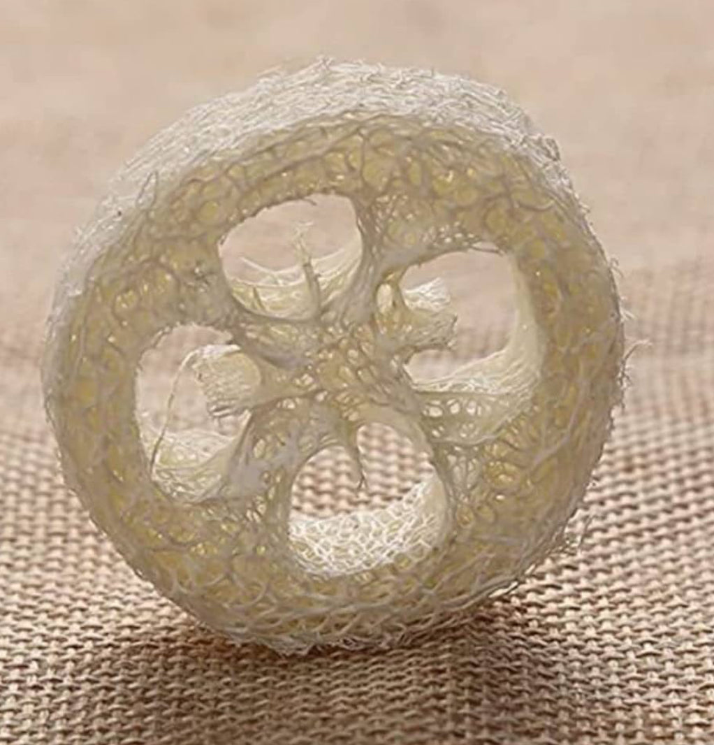 Loofah sponges