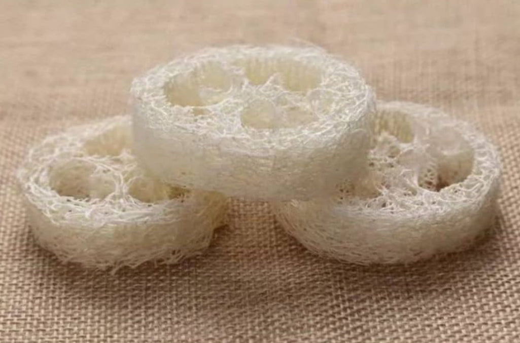 Loofah sponges