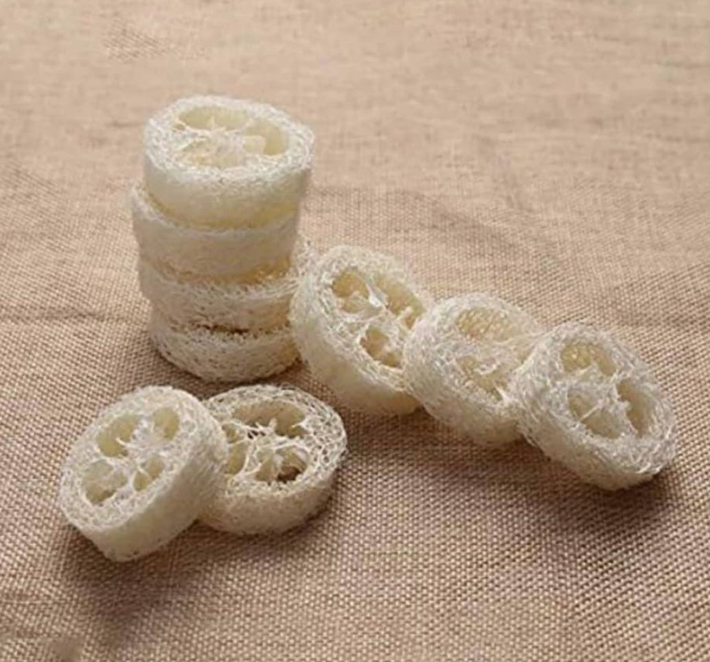 Loofah sponges