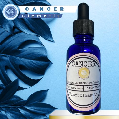 Cáncer