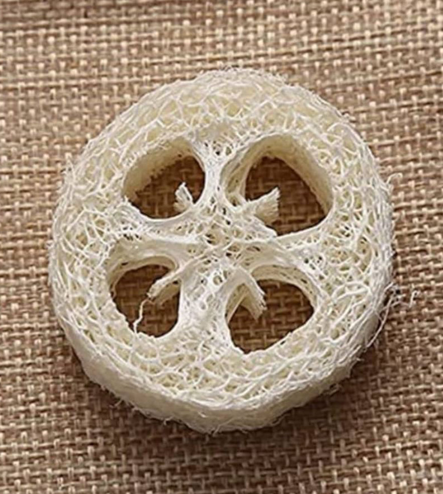 Loofah sponges