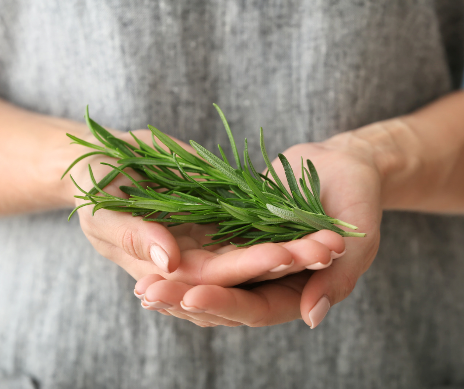 ROSEMARY
