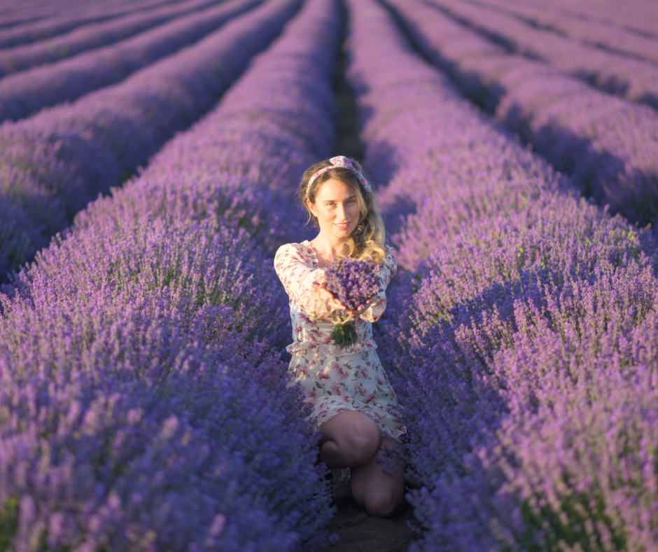 LAVANDER