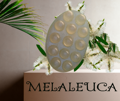 MasaJabon MELALEUCA